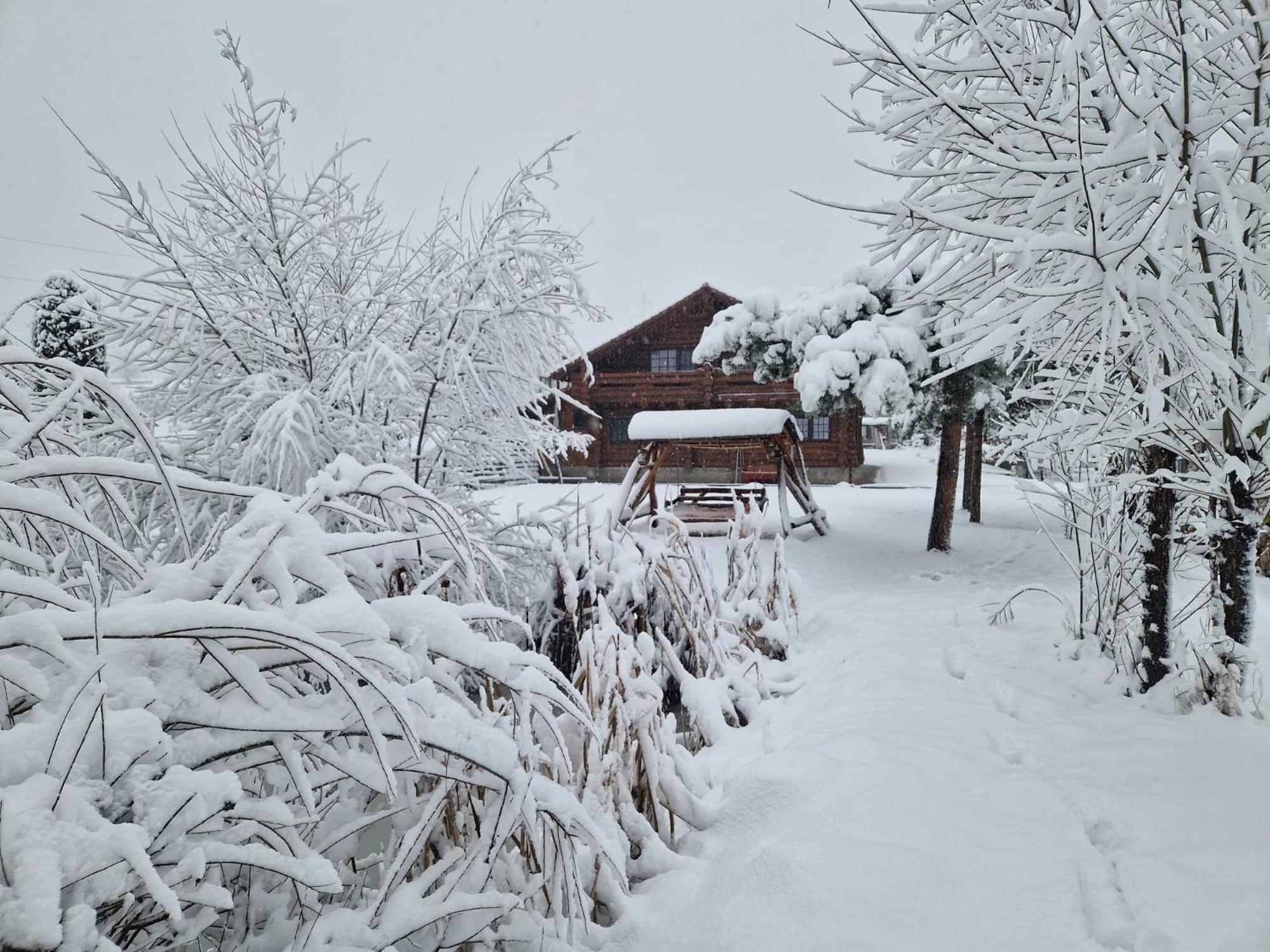 Casa De Munte Villa วาตราดอร์เนย์ ภายนอก รูปภาพ